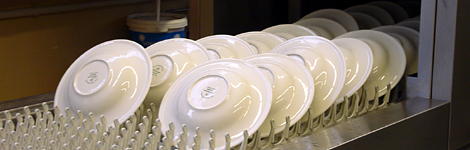 Professionelle Sp&uuml;hltechnik